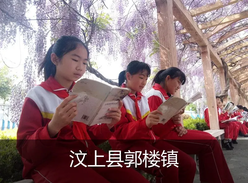 汶上县郭楼镇
